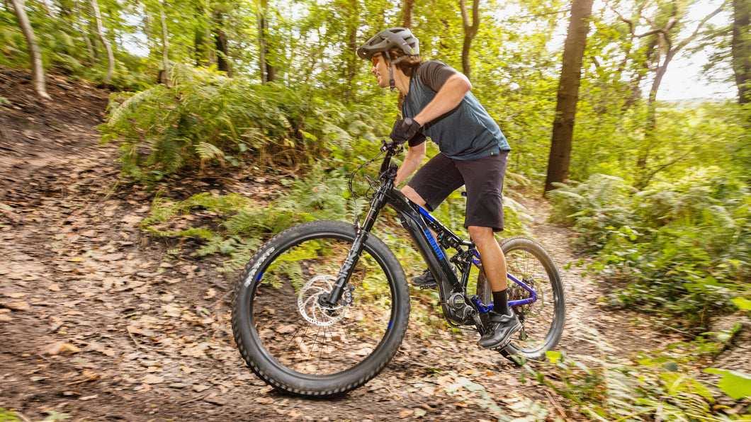 Mountain eBike